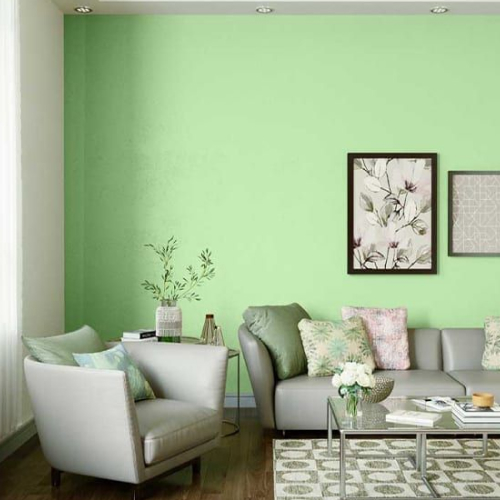 Home Painting