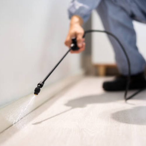Pest Control